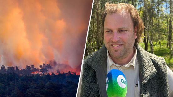 'De brand bij 't Harde is een ecologische ramp': oud-boswachter wil met Defensie om tafel