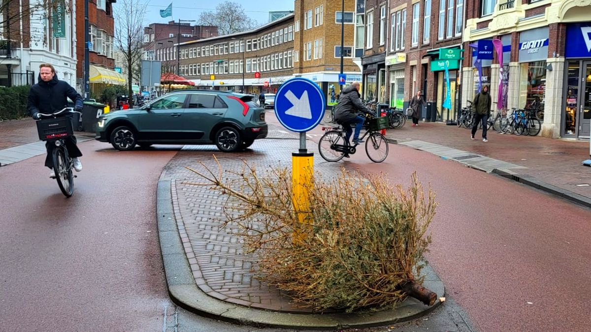 De inzamelpunten zijn weg maar de kerstbomen liggen nog op straat