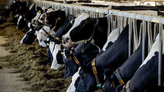 Chinese importheffingen pakken gunstiger uit voor FrieslandCampina