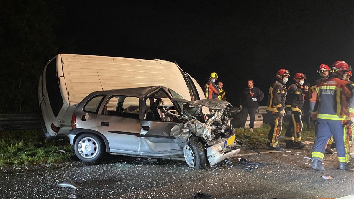Celstraf na doodrijden vrouw op N207 in Gouderak
