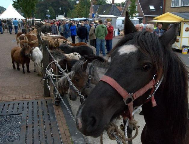 rodermarkt_22ca626e5aebbb16c1257892004eaf94.jpg