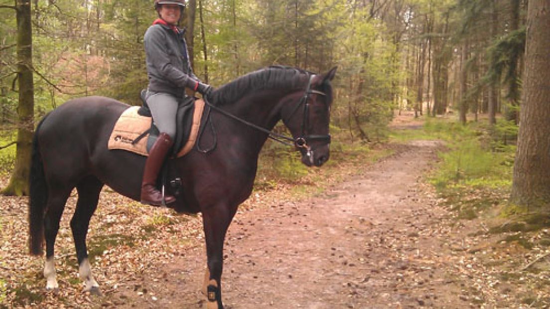 Paardensportbond KNHS in Ermelo is tegen het invoeren van een ruiterpas als 
dat gaat betekenen dat de ruiters moeten opdraaien voor alle kosten voor onderhoud van ruiterpaden.Op
dit moment bekijkt Staatsbosbeheer hoe een 
bezuiniging op natuuronderhoud moet worden ingevuld.