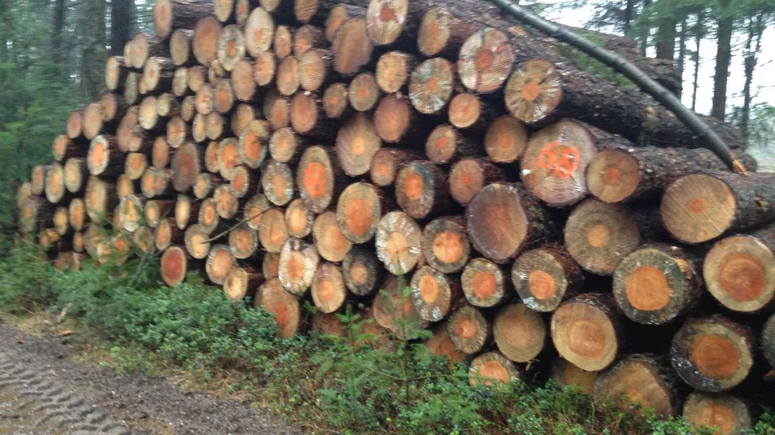 Een deel van de gekapte bomen moet nog afgevoerd worden
