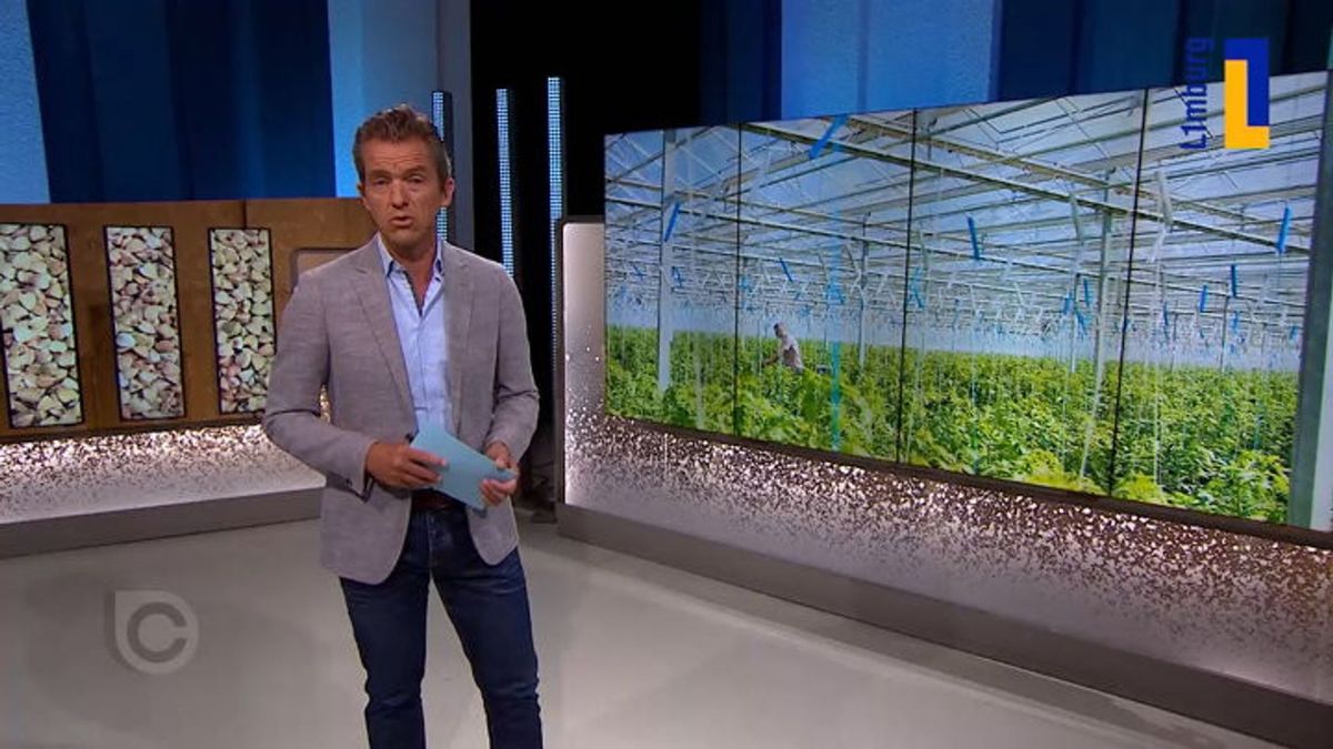 Ontslag dreigt voor 90 medewerkers Nunhems Zaden