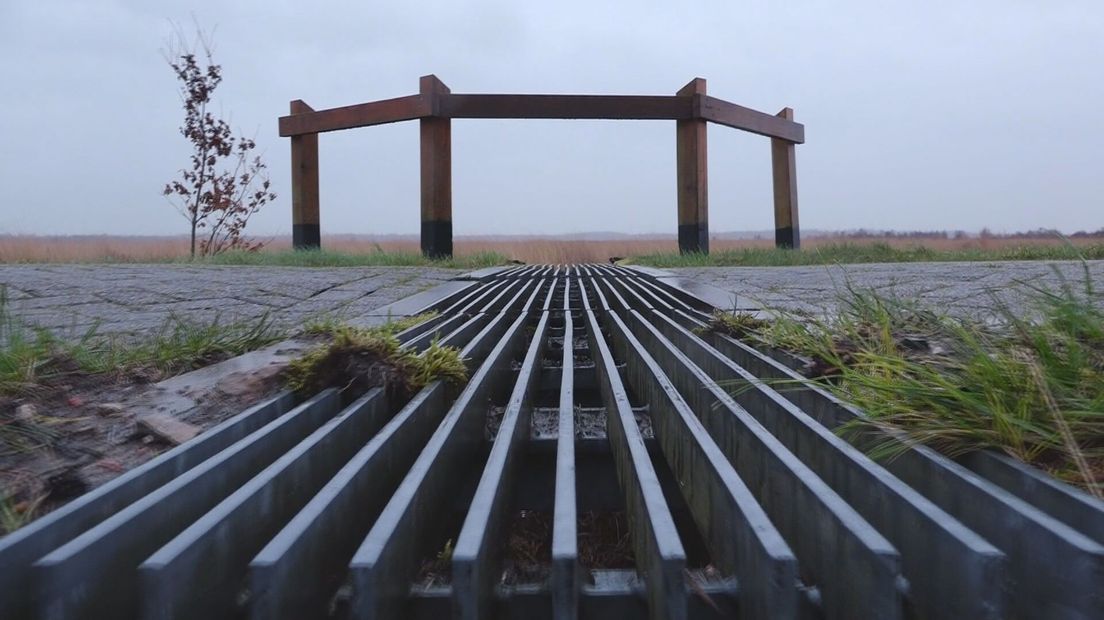 Via faunapassages kunnen slangen veiliger de weg oversteken