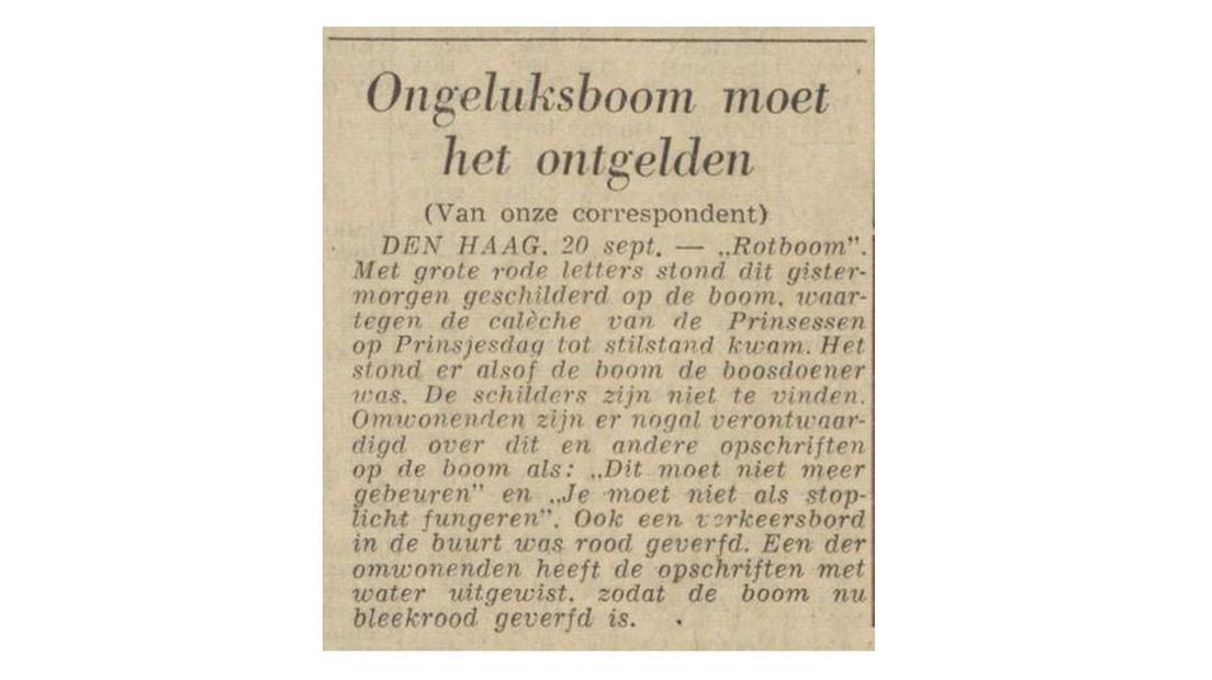 De Volkskrant 20 september 1963