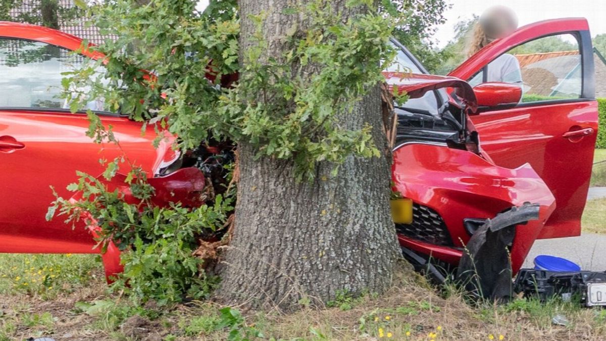 Auto belandt tegen boom in Elsloo
