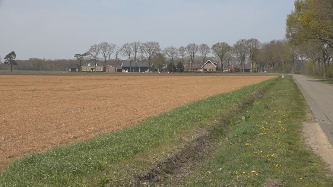 Met glyfosaat bespoten velden kleuren na enkele dagen geeloranje