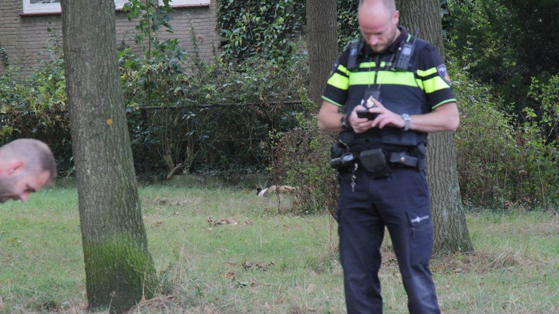 Hond doodgeschoten in Zwolle