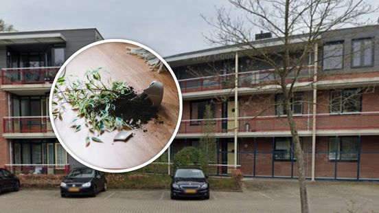 Bloempotten vliegen door seniorencomplex: verhuurder eist ontruiming Home