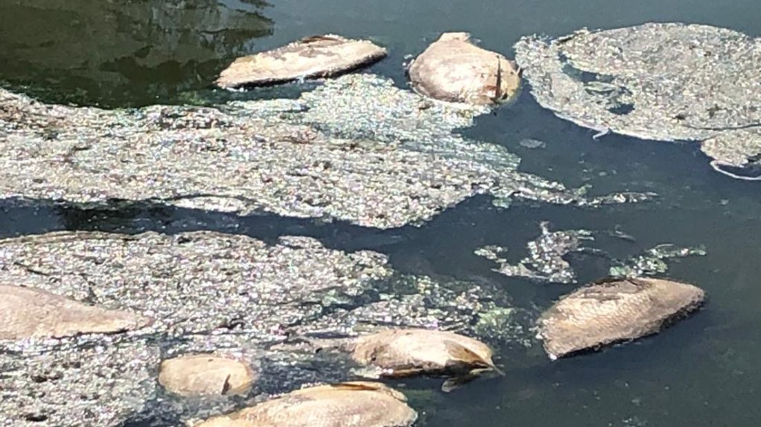 Het water wordt steeds ondieper.