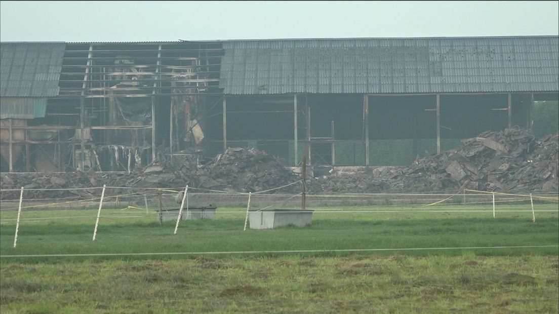 In de aanloop naar de gemeenteraad van dinsdag over de afhandeling van de brand bij De Knorhof in Erichem blijft een groot deel van de politiek nog op de vlakte over een eventuele toekomst en herbouw van het bedrijf. Ook eigenaar Straathof zelf heeft naar buiten nog geen duidelijkheid gegeven.