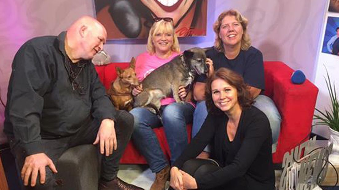 Pierre Wind, Monique de Zwart-Boon (roze shirt), Nancy van Oosterhout en Debby met de honden van Monique