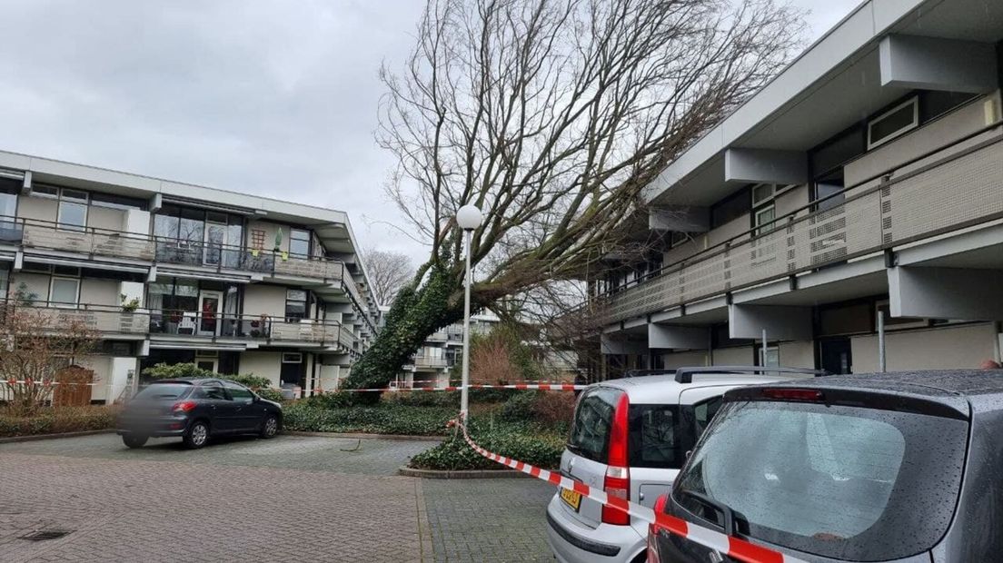 Boom waait tegen appartementencomplex in Hengelo