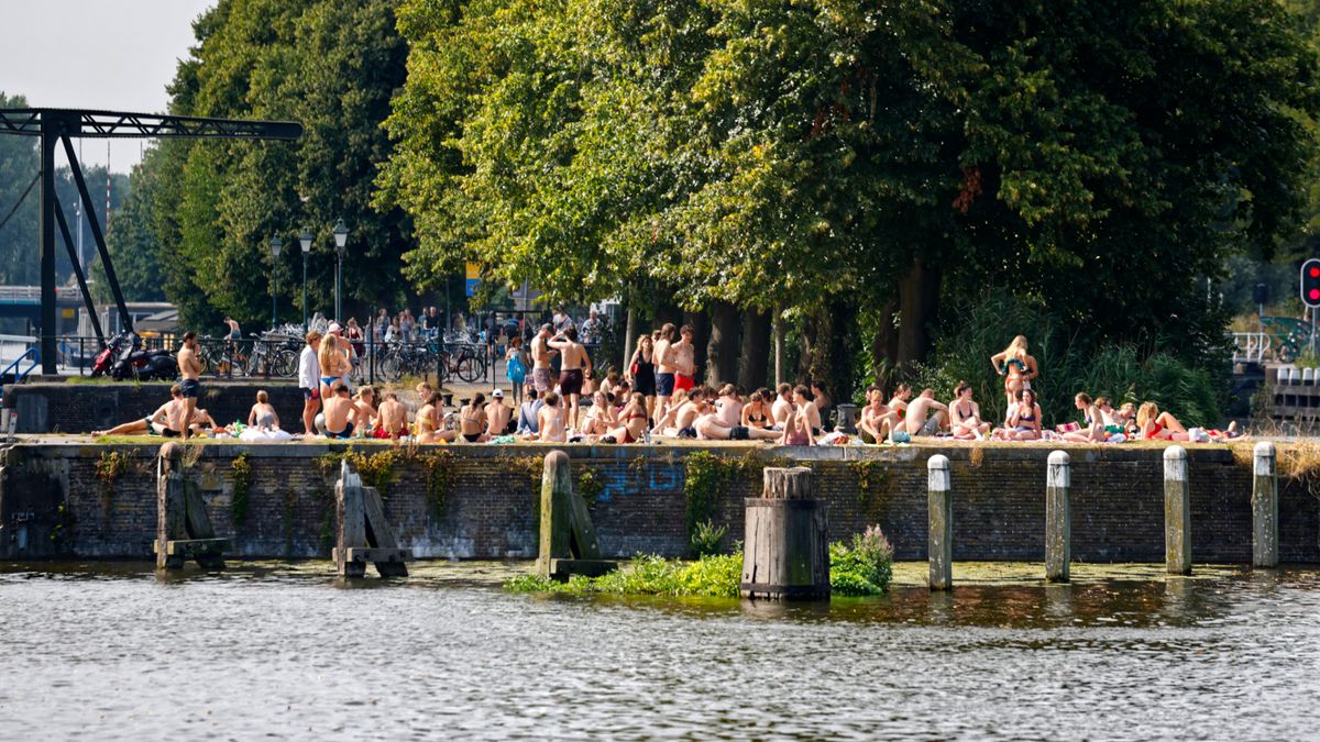 Beplanting bij Muntsluis moet zwemmersoverlast in Lombok aanpakken