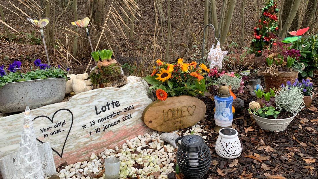 De gedenksteen voor Lotte, dichtbij de plek waar later haar lichaam werd gevonden.,