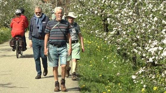 Blijdschap over comeback Bloesemtocht: 'Goed nieuws voor wandelaars'
