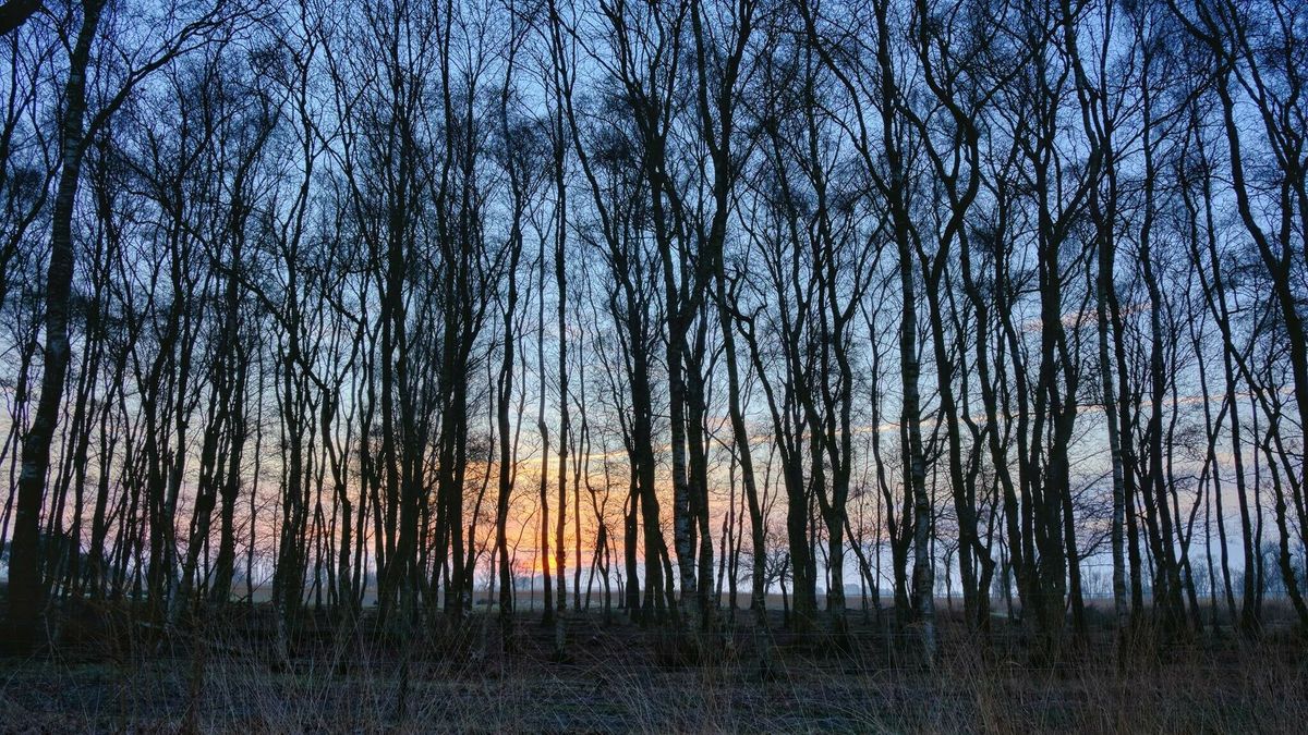 Deze foto was de omweg wel waard