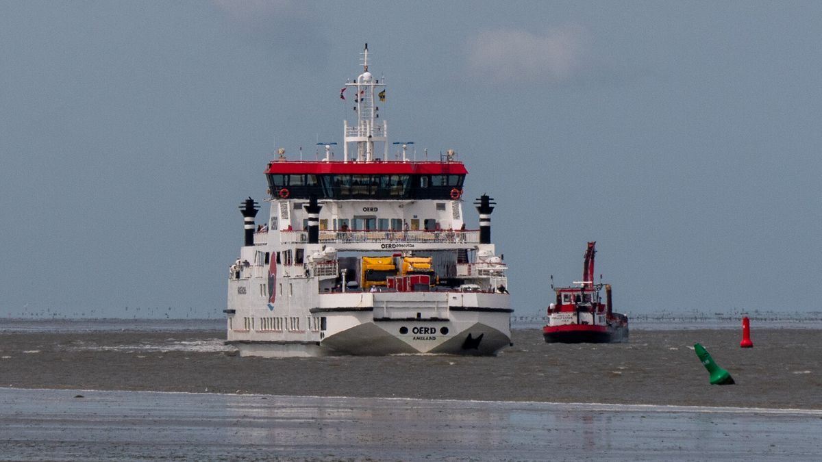 Amelanders maken zich zorgen over de veerconcessie, Terschellingers over de haven