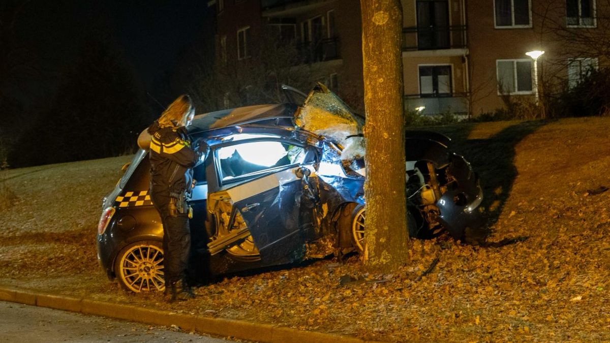 112 nieuws: Gewonde bij botsing tegen boom in Hellendoorn