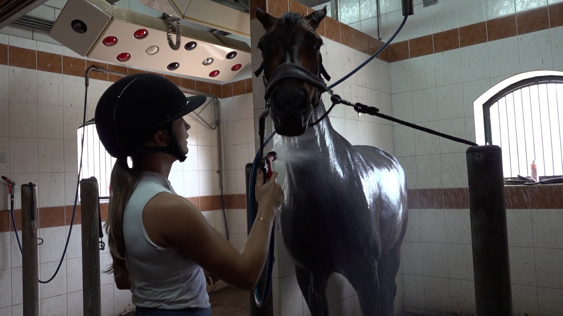 Dochter Leila houdt zich bezig met de opleiding van jonge paarden