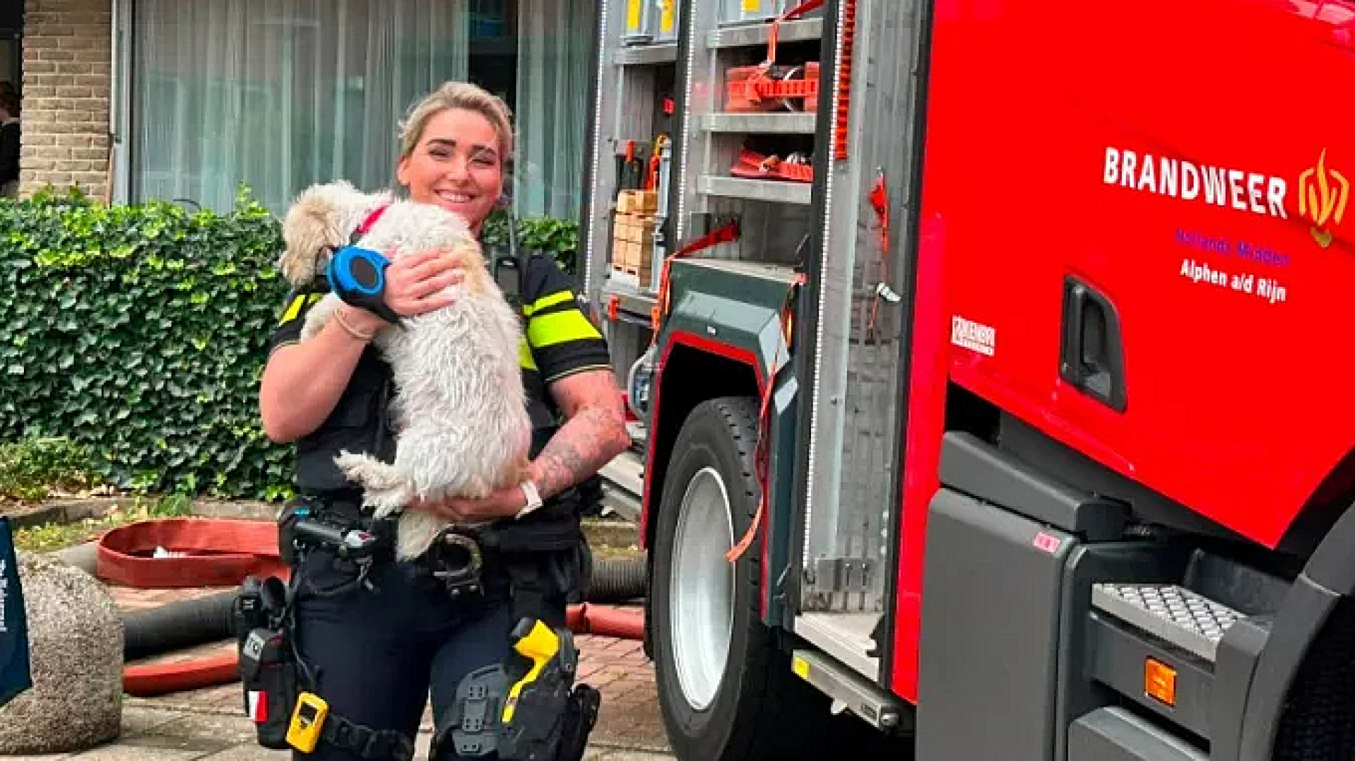 De hond die door de hulpdiensten uit de flat is gehaald