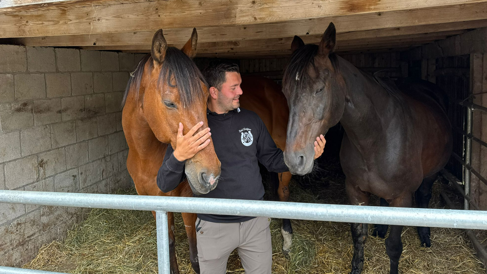 Beste paarden van de manege aangevallen in Langbroek: 'Ik denk dat een wolf ze heeft gepakt'