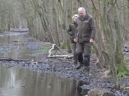 Duinpaden staan onder water, wandelen bijna onmogelijk