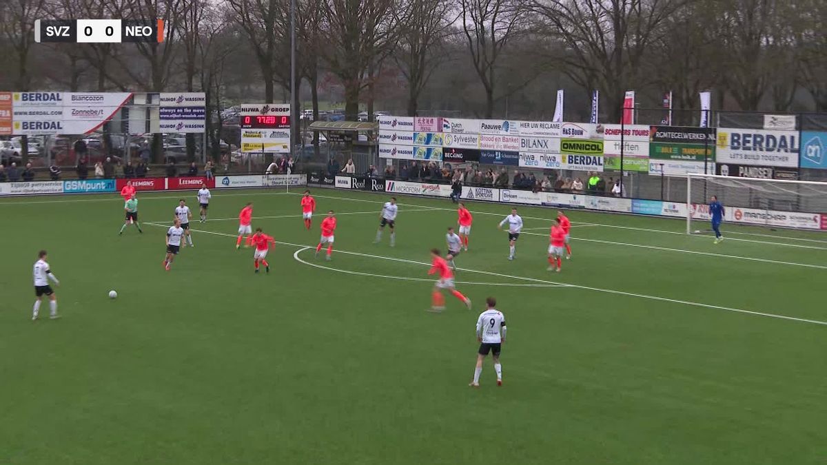 Samenvatting SVZW - NEO