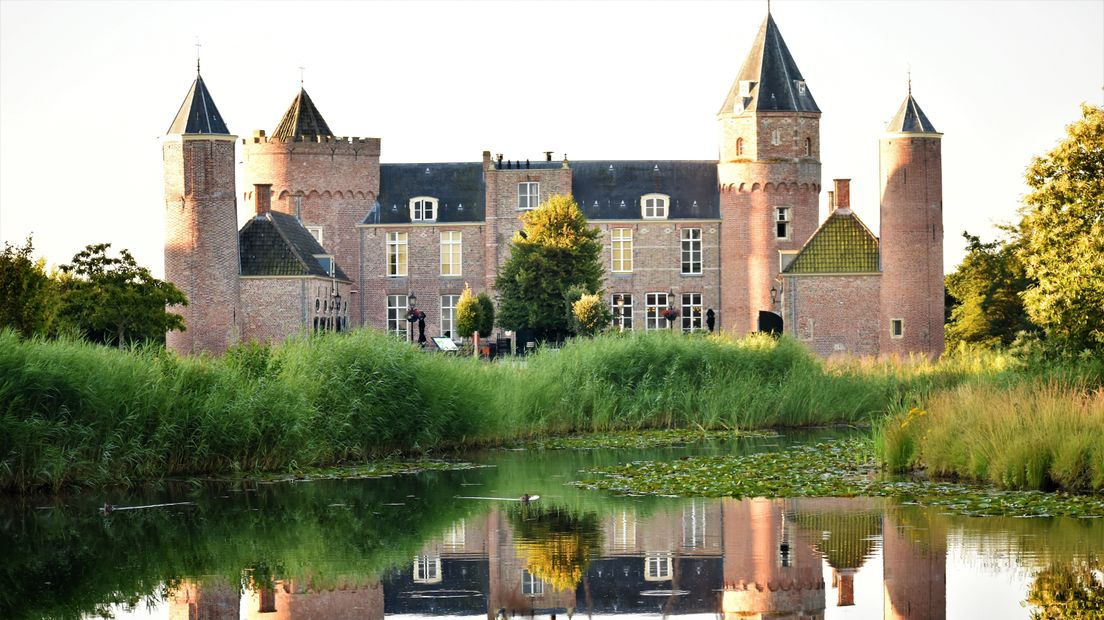 Linde van Oostkapelle mogelijk mooiste boom van Nederland