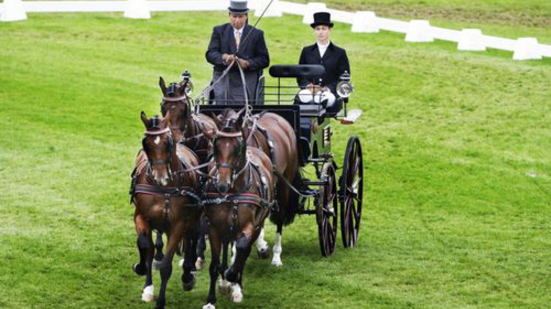 Goud en brons voor menner Theo Timmerman