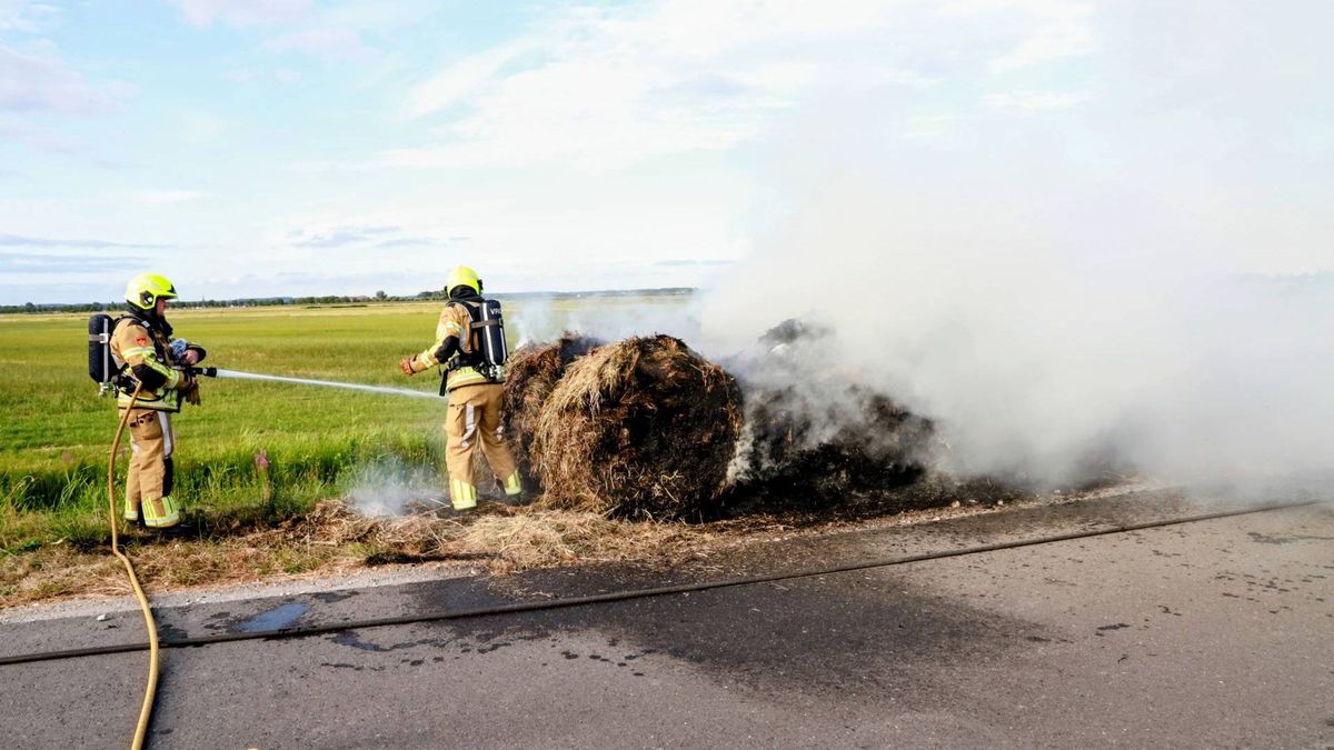 Vijf bermbranden op één dag in dezelfde gemeente