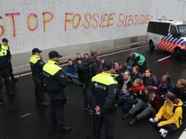 Demonstranten Extinction Rebellion aangehouden na blokkeren Utrechtsebaan