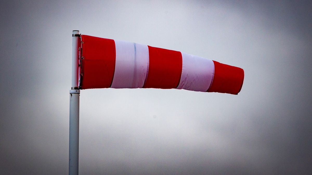 Auto's smelten als sneeuw voor de zon bij brand in Leeuwarden | Mishandeling in Munnekeburen