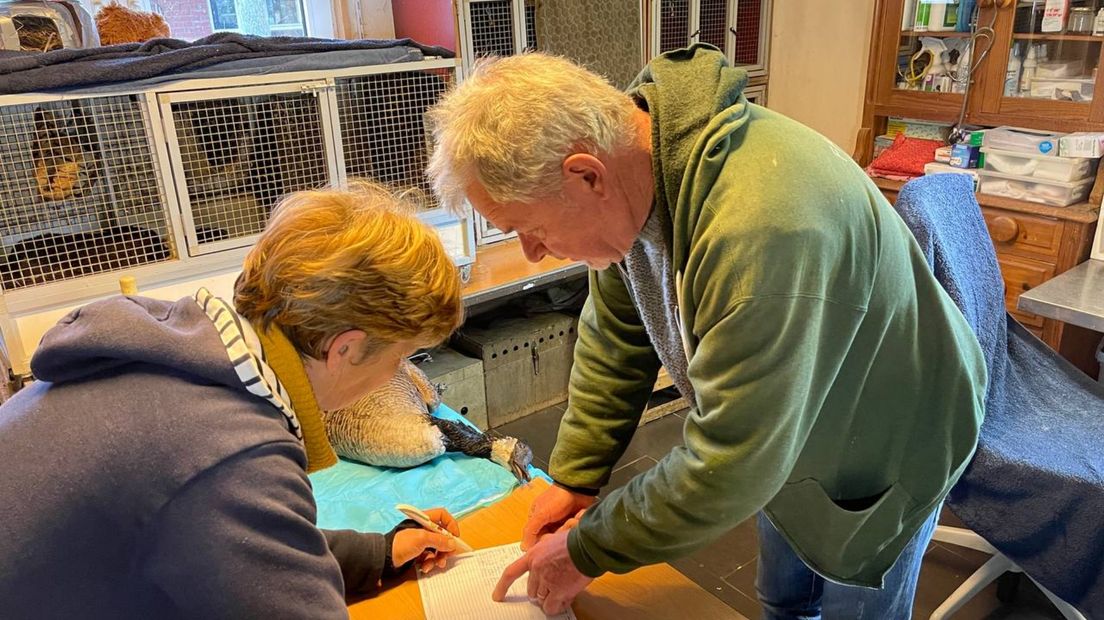 Mieke en Pim Lollinga met een dode brandgans