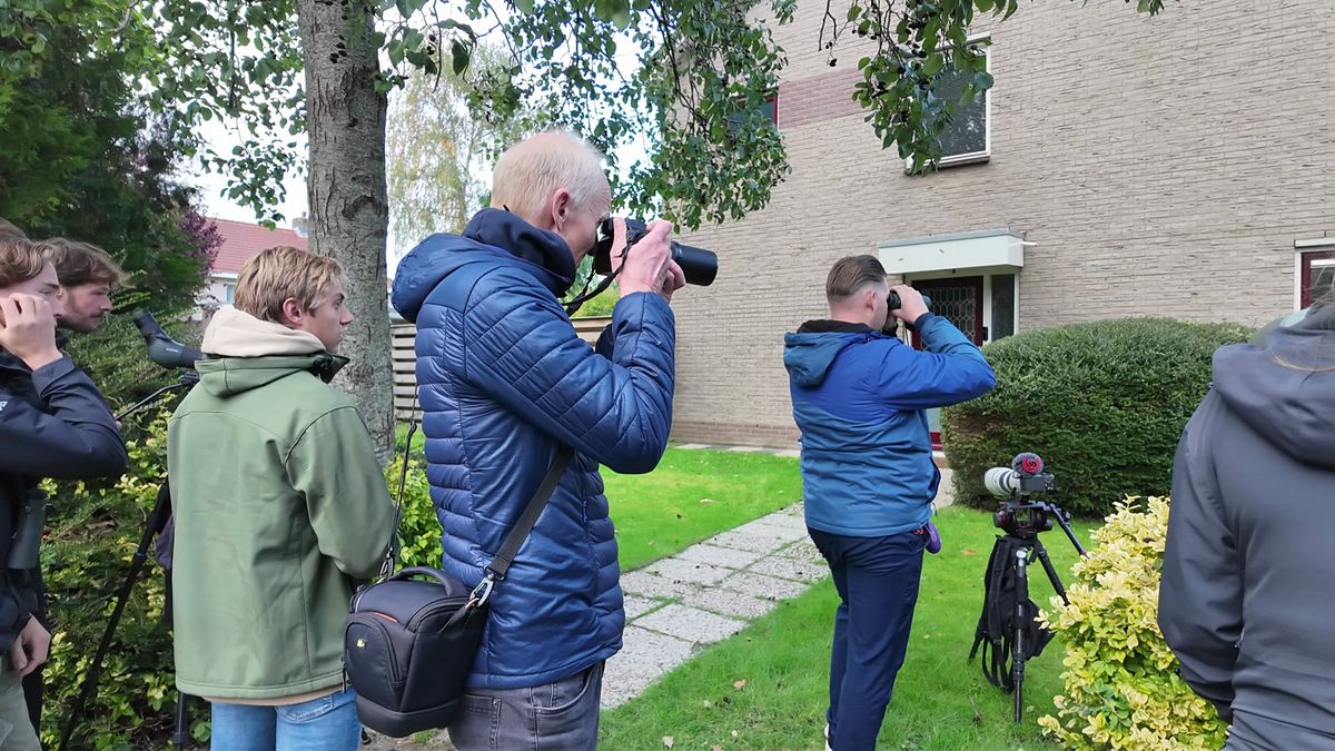 Meerdere vogelaars verzamelen zich in Leeuwarden voor de blauwstaart