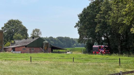 Extreme hitte in varkensstal: brandweer schiet te hulp