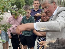 Burgemeester Emmen opent graf en vindt alleen stukjes verteerde zakdoek