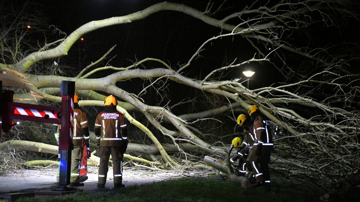 Eerste storm van 2024 een feit: zo raasde Henk over Zeeland