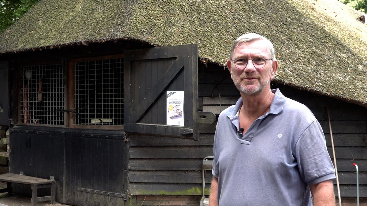 Schaapskudde krijgt nieuwe locatie, maar de tijd dringt: 'We houden dit niet vol'