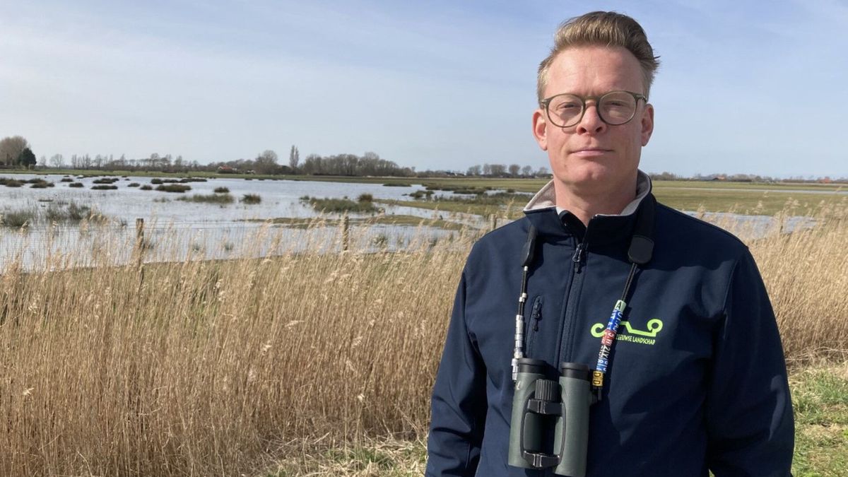 Steeds meer dieren in Zeeland, maar we moeten niet te vroeg juichen