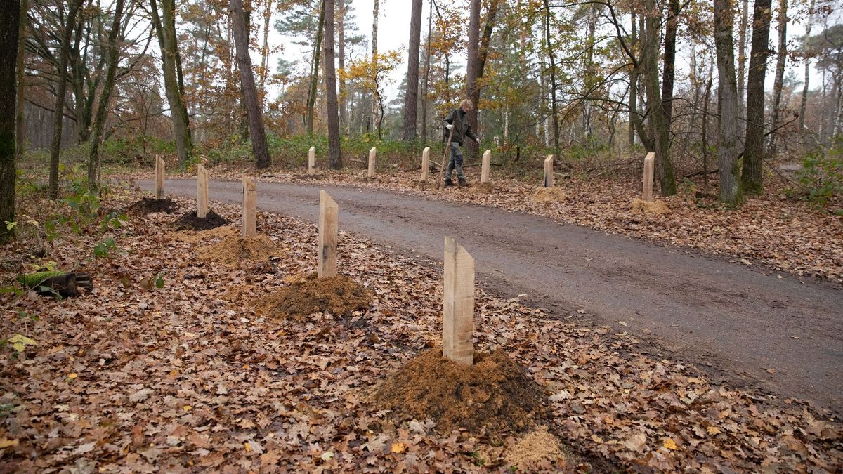 'Drukste punt' Lage Vuursche aangepakt: parkeerplaats krijgt opknapbeurt