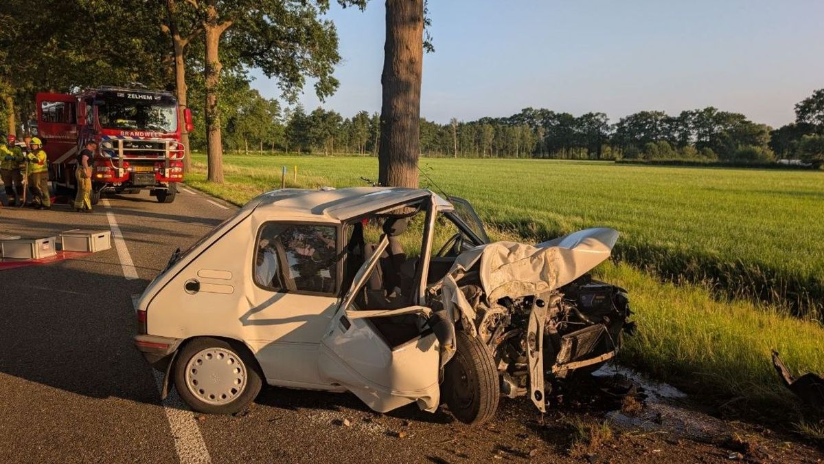 Bestuurder zwaargewond na botsing tegen boom