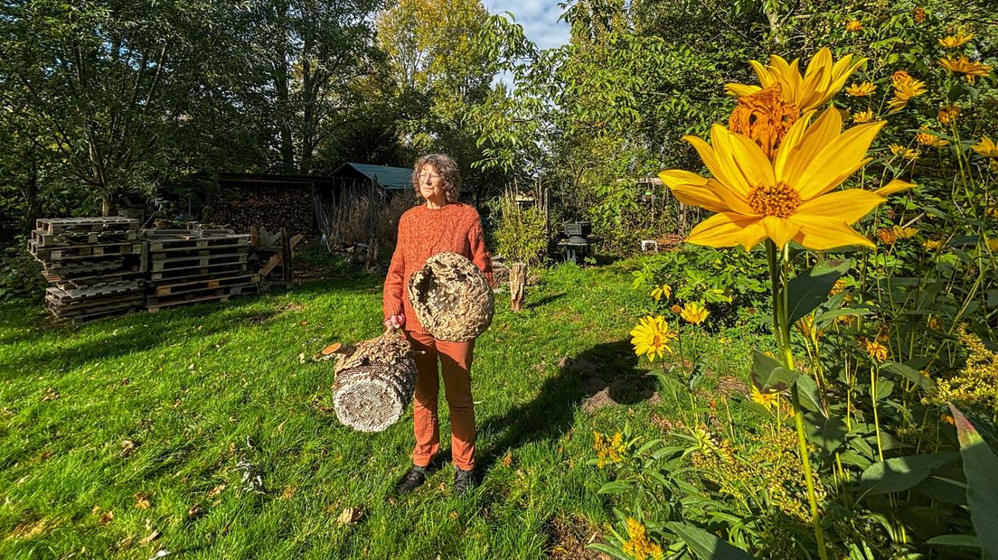 Diana Roelands met een paar oude hoornaarsnesten