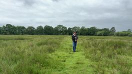 Marks Minuutje vanaf het Doldersummerveld