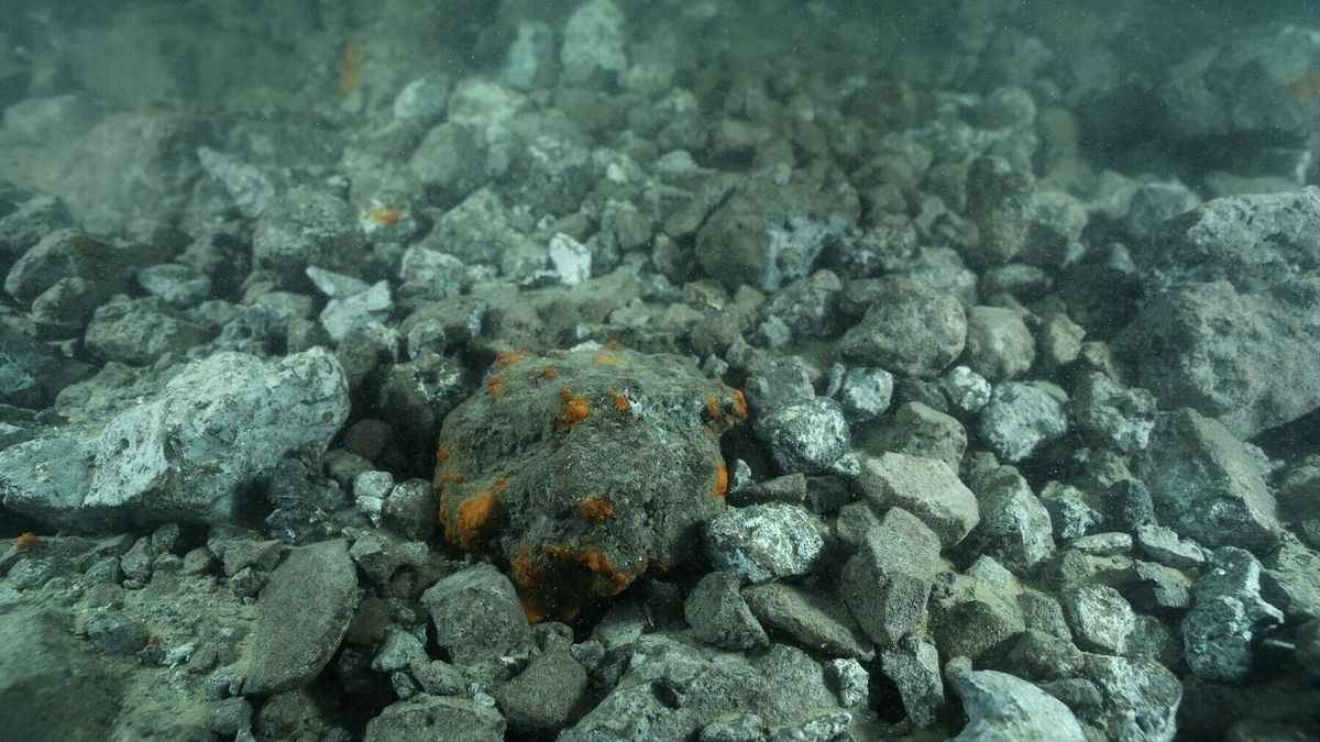 Opnieuw mogelijk grote hoeveelheid staalslakken in Westerschelde, ondanks bezwaren