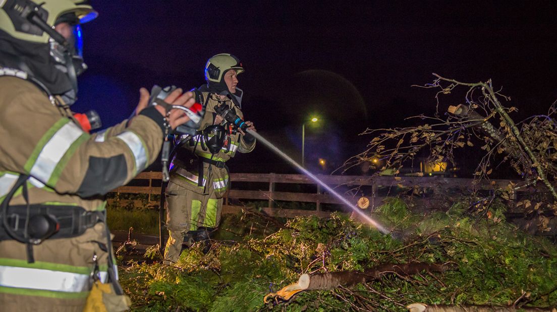 De brandweer moest vannacht in actie komen om de coniferen te doven.