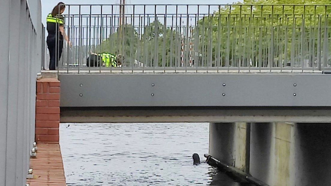 Man in het water in Amelo