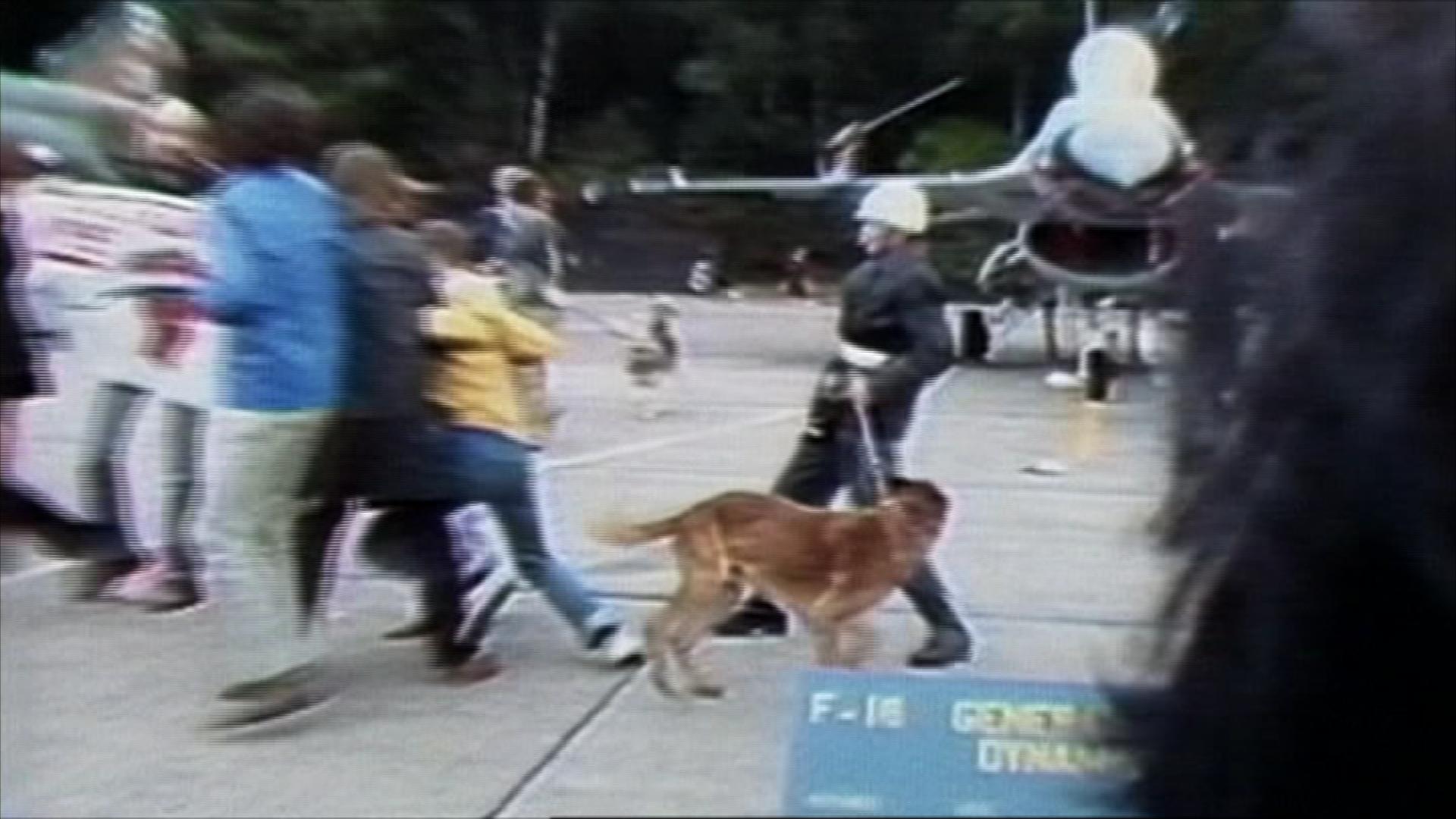 F16-actie Onkruit in 1979