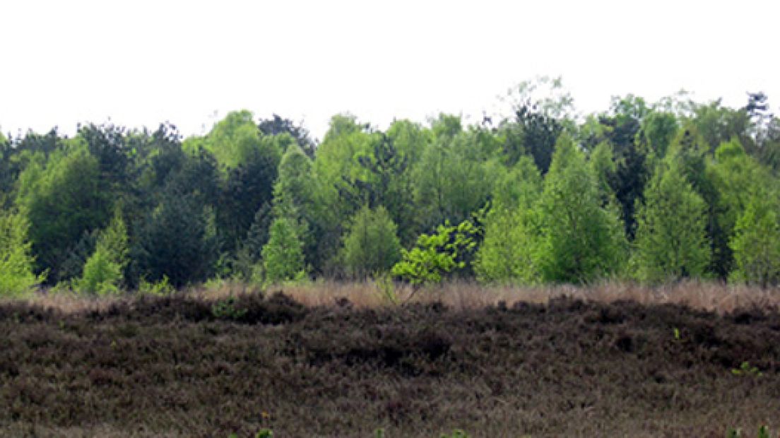 Gorsselse Heide naar stichting